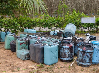 วันที่ 19 กุมภาพันธ์ 2569 นางสาวสุพา ปิยะเขตร ... พารามิเตอร์รูปภาพ 7